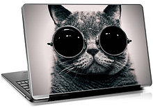 Наклейка на ноутбук «Кот в очках»