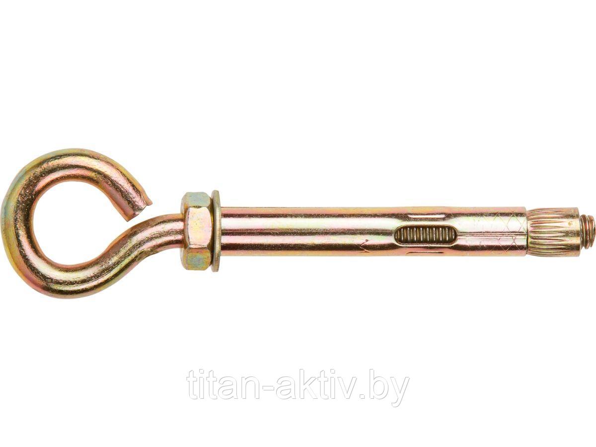 Анкер с кольцом М6х8х60 мм (100 шт в карт. уп.) STARFIX