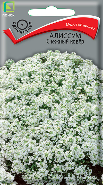 Алиссум Снежный ковер 0,3г Поиск