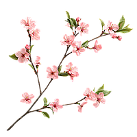 🌸 Изменения в графике работы c 26 апреля по 11 мая 2025 года 🌸