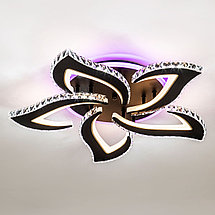 Потолочный светильник LED4U L2839-5 BK, фото 2