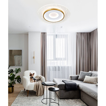 Потолочный cветильник LED4U L1027-500 WH-GD, фото 2