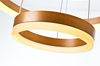 Подвесной светильник LED4U L10823-60-40 GD, фото 2
