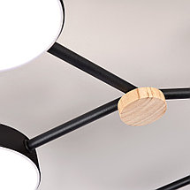 Потолочный светильник LED4U L3201-960 BK, фото 2