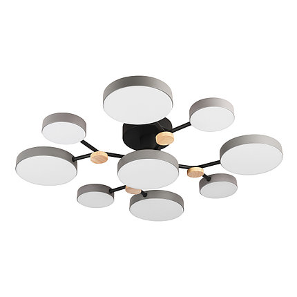 Потолочный светильник LED4U L3201-780 GR, фото 2