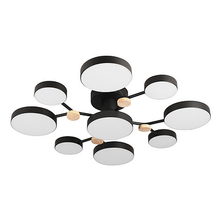 Потолочный светильник LED4U L3201-780 BK, фото 2