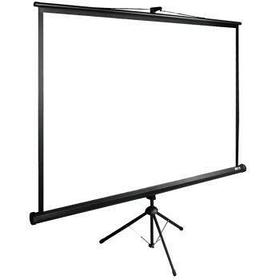Экран Cactus TriExpert CS-PSTE-180x135-BK, 180х135 см, 4:3, напольный черный