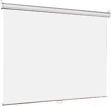 Проекционный экран Lumien Eco Picture 206x274 LEP-100115 белый