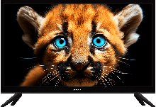 Телевизор Topdevice 24" SMART BS01