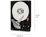 Жесткий диск WD Caviar Blue 1TB (WD10EZEX), фото 2