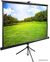 Проекционный экран CACTUS TriExpert 150x200 CS-PSTE-200X150-BK черный