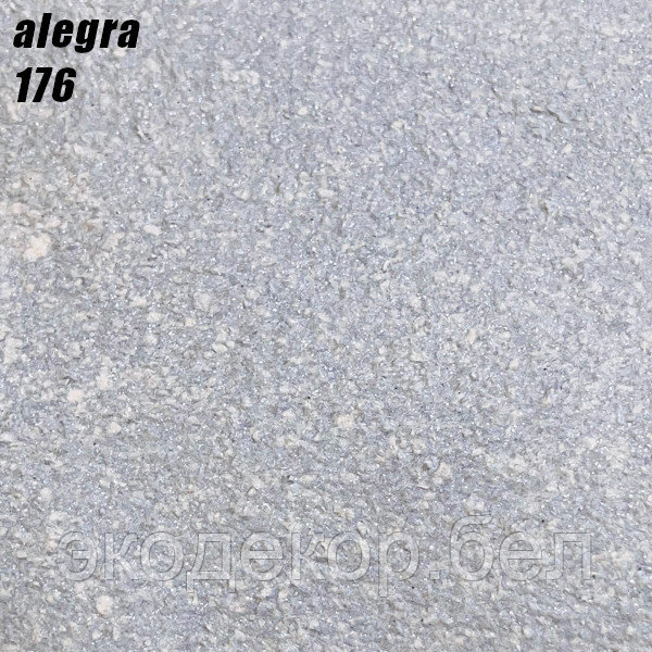 ALEGRA - 176
