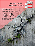 Грунтовка акриловая антиплесень 2 кг, фото 5