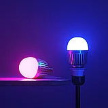 Комплект светодиодных ламп Godox Knowled C10R-K8 в кейсе, фото 7