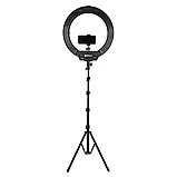 Осветитель кольцевой Falcon Eyes BeautyLight 480LS LED со стойкой, фото 2