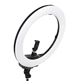 Осветитель кольцевой Falcon Eyes BeautyLight 480LS LED со стойкой, фото 6