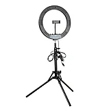 Комплект оборудования Falcon Eyes BloggerKit 20 mic для видеосъемки, фото 2