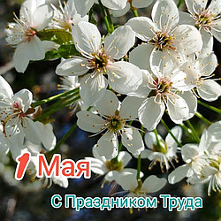 С Первомаем! С Днем труда!