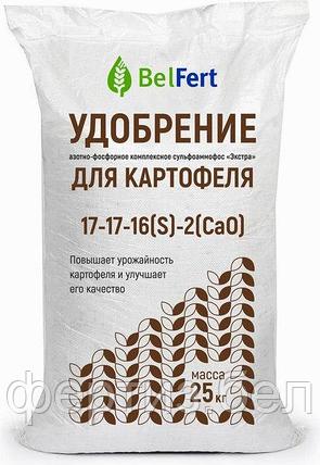 Удобрение сульфоаммофос 17-17+16(S), 25кг, фото 2