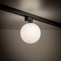 Трековый светильник шар черного цвета 4923 TK Lighting TRACER