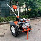 Мотоблок Profi Motors 103 (8.5 л.с.) (Колёса 4х8) без вом, фото 2