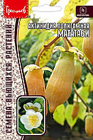 Актинидия Мататаби полигамная 20шт
