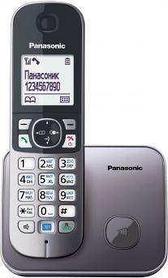 Р/Телефон Panasonic KX-TG6811RUM