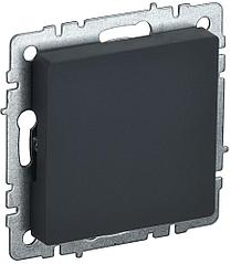 Заглушка розетки МЗ10-БрГ BR-PL10-K53