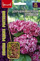 Боярышник Розовый махровый 3шт. / НОВИНКА
