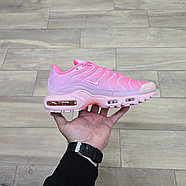 Кроссовки Nike Air Max Plus City Special Atlanta, фото 2