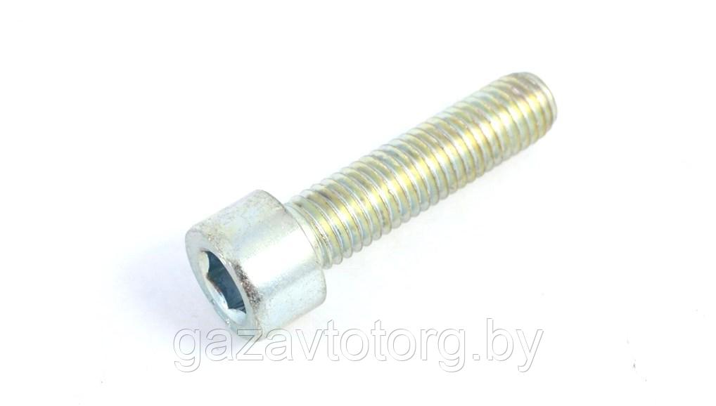 Болт М10х40-10.9, Газель Некст, крепления подшипника передней ступицы, 290057-81