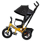 Велосипед детский Trike Pilot PTA3GB 2025 (черно-желтый), фото 2