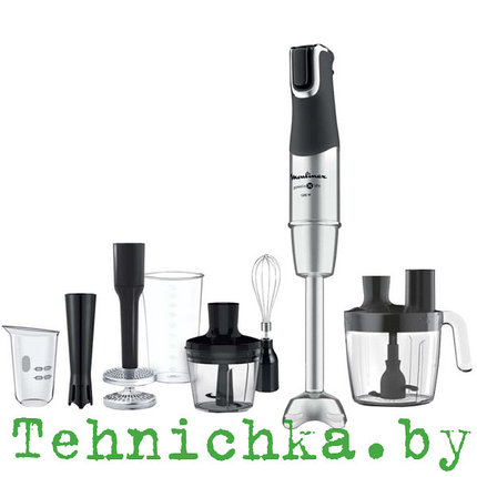 Погружной блендер Moulinex InfinyForce Pro DD95MD10, фото 2