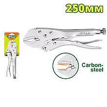 Зажим с фиксатором 250 мм DYLLU DTLP9C10