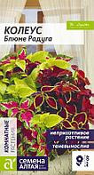 Колеус Блюме Радуга смесь 0,01г