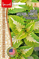 Колеус Визард Jade F1 5шт. США