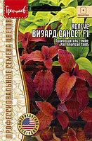 Колеус Визард Sunset F1 (Wizard) 5шт. США