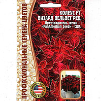 Колеус Визард Velvet Red F1 (Wizard) 5 шт. США