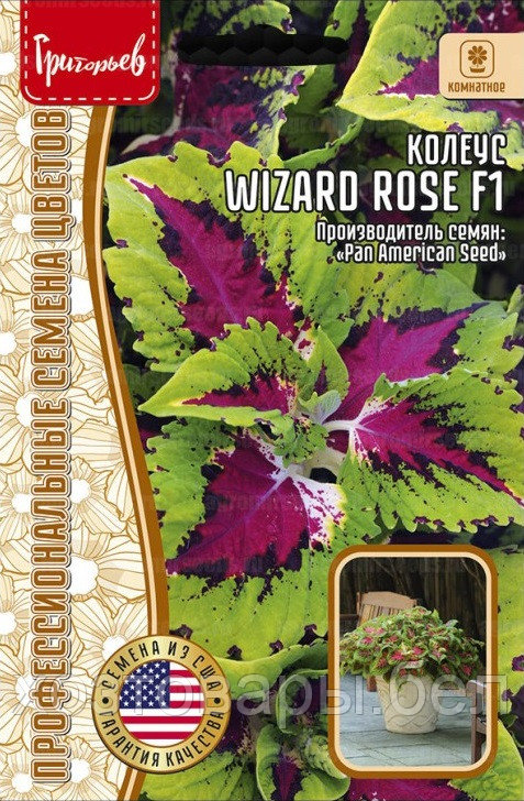 Колеус Визард Роуз F1 (Wizard Rose) 5шт США