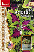 Колеус Визард Роуз F1 (Wizard Rose) 5шт США