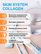 Skin System Collagen Пептиды рыбного коллагена, фото 2