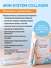 Skin System Collagen Пептиды рыбного коллагена, фото 3