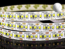 Светодиодная лента SMD 2025 204LED 24W 12V IP20(33) белый холодный