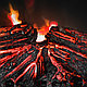 Электрокамин RealFlame FireField 25 S IR, фото 4
