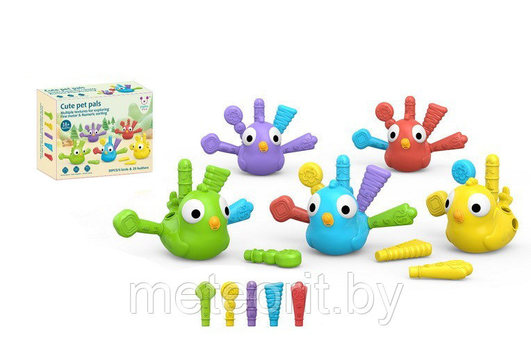 Сортер Яркие птички