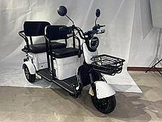 Электрический трицикл SHTENLI Model 37 SLA 20Ач48В, фото 3