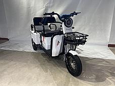 Электрический трицикл SHTENLI Model 34 SLA 20Ач48В (2в1), фото 3