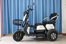 Электрический трицикл SHTENLI Model 31 SLA 20Ач60В, фото 2