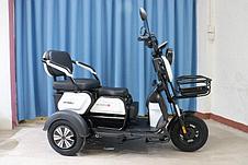 Электрический трицикл SHTENLI Model 31 SLA 20Ач60В, фото 3