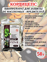 Кордицепс 50г (от колорад.жука,личинок майсого жука) гриб в почву Бионика